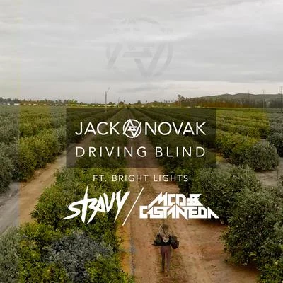 Jack Novak Driving Blind (The Remixes)