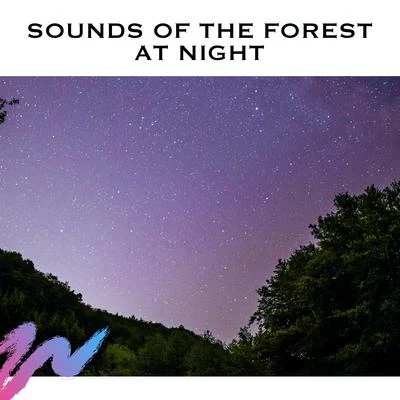 White Noise/Natural White Noise Relaxation/Study Radiance Sounds of The Forest at Night