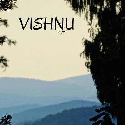 Vishnu For You