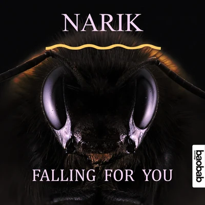 Narik Falling For You