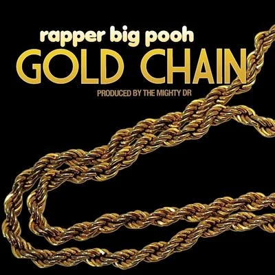 Rapper Big Pooh Gold Chain - Single