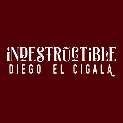 Diego el Cigala Indestructible