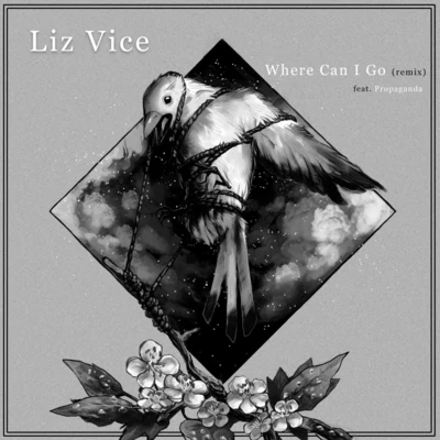 Liz Vice/Propaganda Where Can I Go (Remix) [feat. Propaganda]