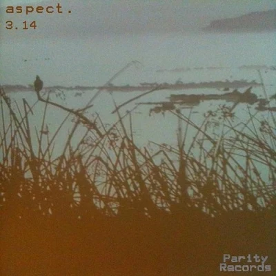 Aspect 3.14