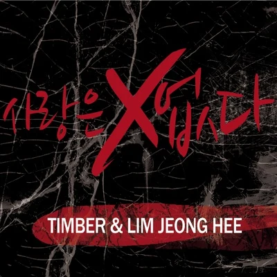 Timber/林貞熙 사랑은 없다