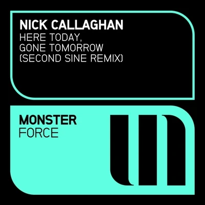 Nick Callaghan Here Today, Gone Tomorrow (Remixed)