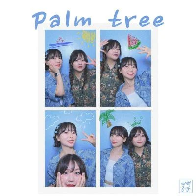 凌晨攻防 Palm tree