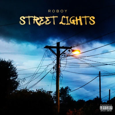 Roboy Street Lights