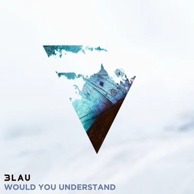 3LAU Would You Understand