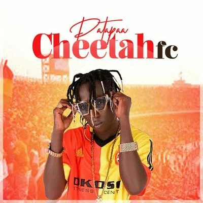 Patapaa Cheetah FC