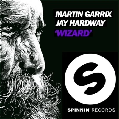 Martin Garrix/Jay Hardway Wizard