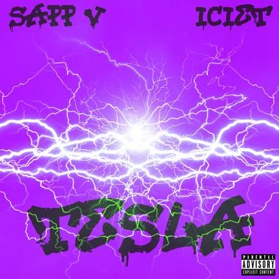 ICIET/Sapp V Tesla