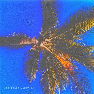 leezii The Beach Party EP