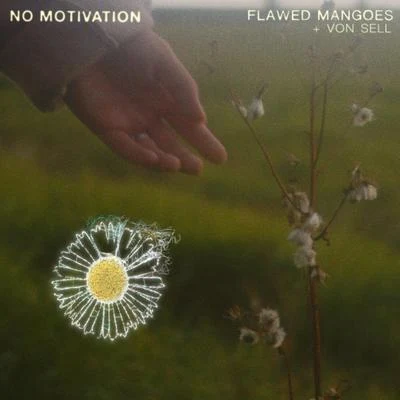 flawed mangoes/Von Sell No Motivation