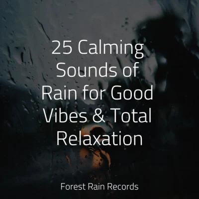 Nursery Rhymes/Relaxing Music/Healing Sounds for Deep Sleep and Relaxation 25 Calming Sounds of Rain for Good Vibes & Total Relaxation