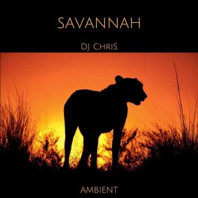 Dj Chris SAVANNAH