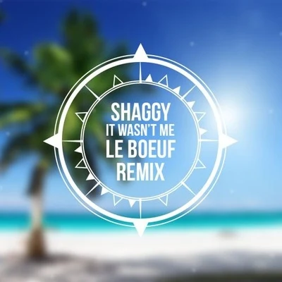 Le Boeuf It Wasnt Me (Le Boeuf Remix)