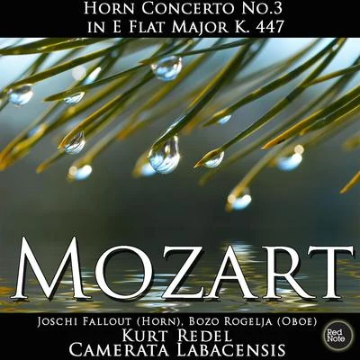 Camerata Labacensis Mozart: HoRN0 Concerto No.3 in E Flat Major K. 447