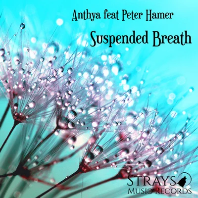 Peter Hamer/Anthya Suspended Breath