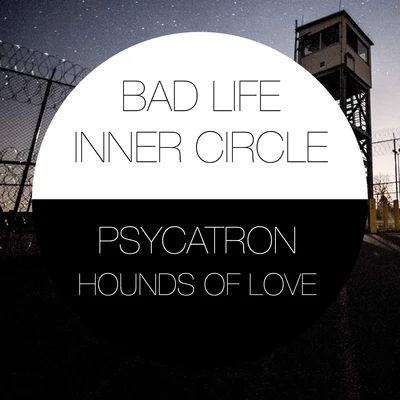 psycatron Psycatron Presents Hounds of Love