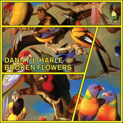 Danny L Harle Broken Flowers