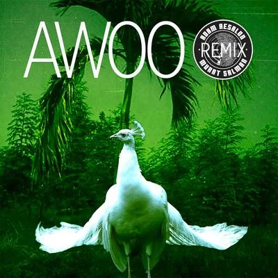 Sofi Tukker Awoo (Adam Aesalon & Murat Salman Remix)