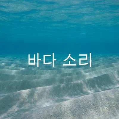 Ocean Waves for Sleep/Ocean Sounds 바다 소리