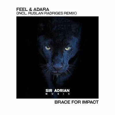 Ruslan Radriges Brace For Impact (Ruslan Radriges remix)