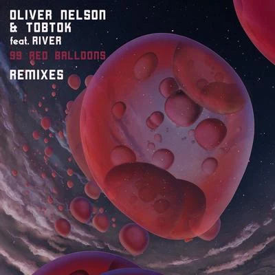 Oliver Nelson 99 Red Balloons Remixes (Remixes)