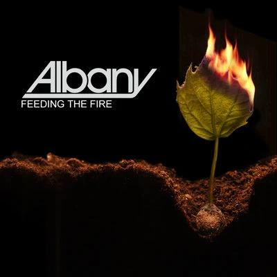 Albany Feeding The Fire