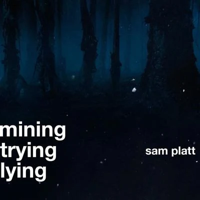 Sam Platt Mining, Trying, Lying,