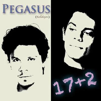 Pegasus 17+2