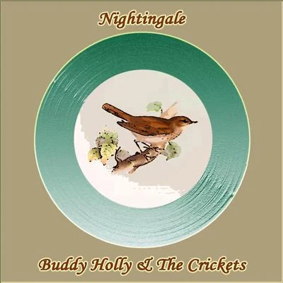 Buddy Holly/The Crickets Nightingale