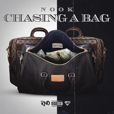 Nook Chasing a Bag