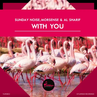 AL Sharif/Sunday Noise/Moresense With You