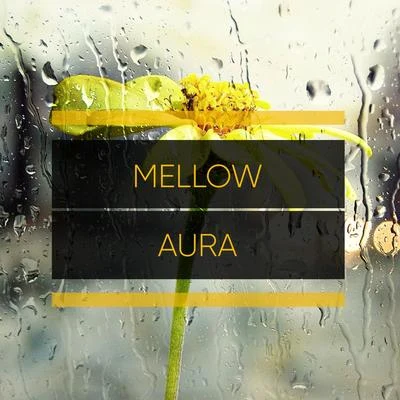 Rainforest Ambience/Rain Sounds & Nature Sounds #Mellow Aura