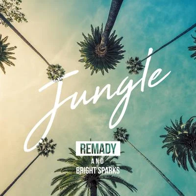 Remady/Bright Sparks Jungle