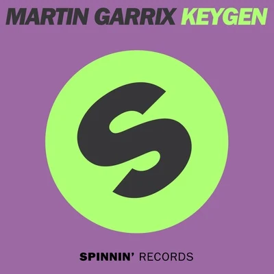 Martin Garrix Keygen