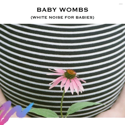 Loopable Radiance/Deep Sleep Systems/Baby Songs Academy Baby Wombs (White Noise for Babies)