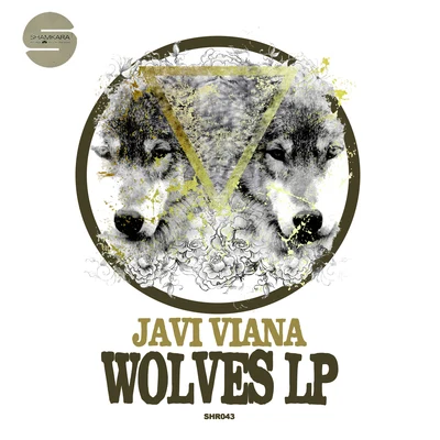 Javi Viana Wolves