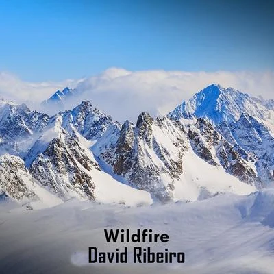 David Ribeiro Wildfire