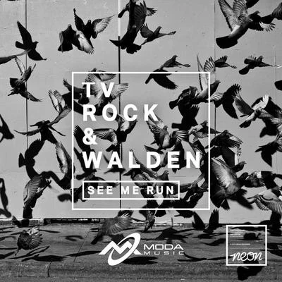 Walden/TV Rock See Me Run