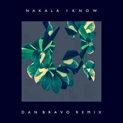 Nakala I Know (Dan Bravo Remix)