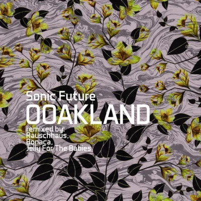 Sonic Future Ooakland