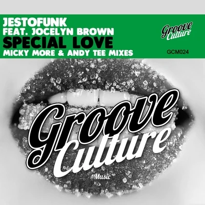 Jestofunk Special Love (Micky More & Andy Tee Mixes)