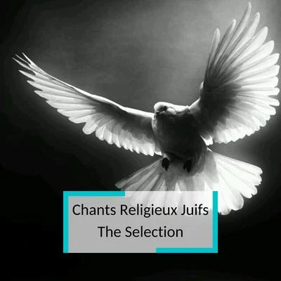 Sholom Katz/Ladislav Vachulka Chants Religieux Juifs - The Selection