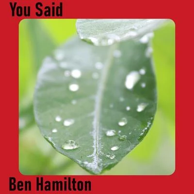 Ben Hamilton You Said