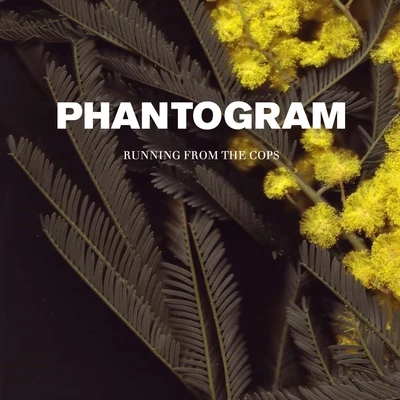 Phantogram Running From The Cops