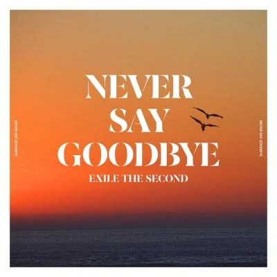 EXILE THE SECOND NEVER SAY GOODBYE