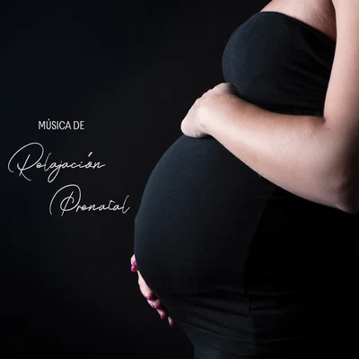 Relajacion Conjunto/Pregnancy Relaxation Orchestra Música de Relajación Prenatal: Sonidos Tranquilos Para Usted Y Su Bebé